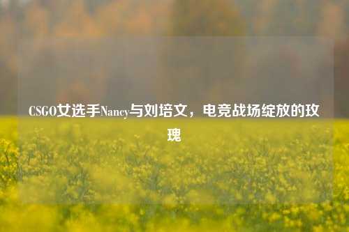 CSGO女选手Nancy与刘培文，电竞战场绽放的玫瑰