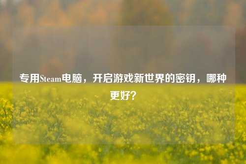 专用Steam电脑，开启游戏新世界的密钥，哪种更好？