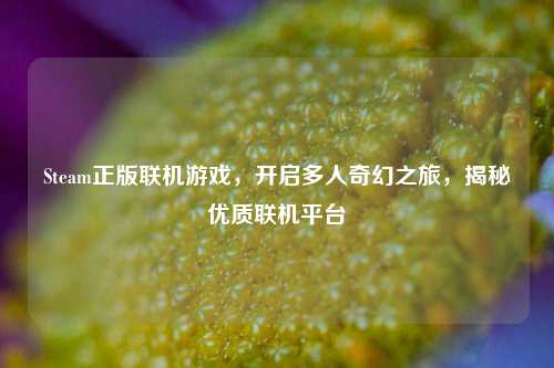 Steam正版联机游戏，开启多人奇幻之旅，揭秘优质联机平台
