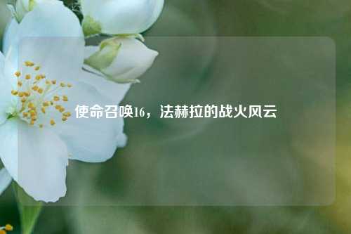 使命召唤16，法赫拉的战火风云