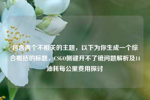 包含两个不相关的主题，以下为你生成一个综合概括的标题，CSGO侧键开不了镜问题解析及14油耗每公里费用探讨