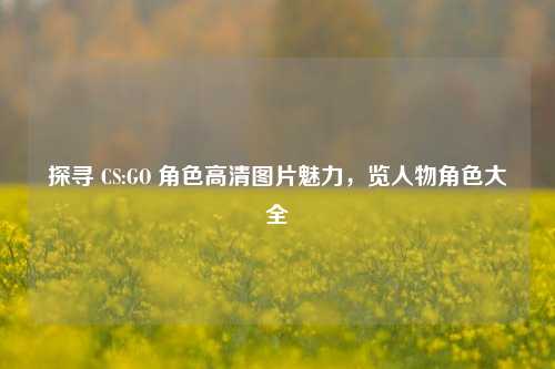 探寻 CS:GO 角色高清图片魅力，览人物角色大全