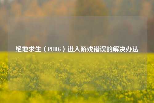 绝地求生（PUBG）进入游戏错误的解决办法