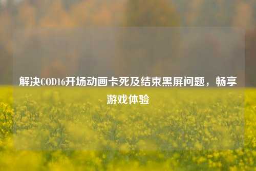 解决COD16开场动画卡死及结束黑屏问题，畅享游戏体验