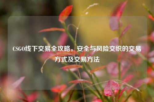 CSGO线下交易全攻略，安全与风险交织的交易方式及交易方法