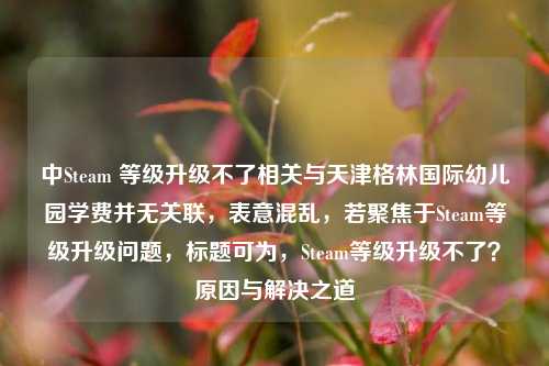 中Steam 等级升级不了相关与天津格林国际幼儿园学费并无关联，表意混乱，若聚焦于Steam等级升级问题，标题可为，Steam等级升级不了？原因与解决之道