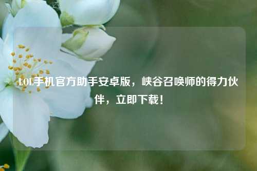 LOL手机官方助手安卓版，峡谷召唤师的得力伙伴，立即下载！