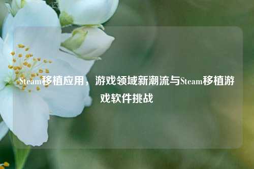 Steam移植应用，游戏领域新潮流与Steam移植游戏软件挑战