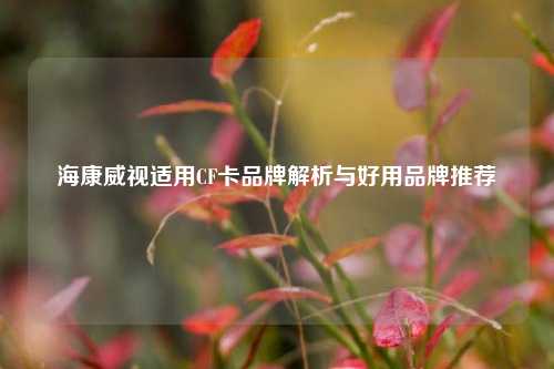 海康威视适用CF卡品牌解析与好用品牌推荐
