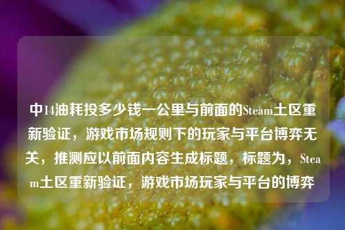 中14油耗投多少钱一公里与前面的Steam土区重新验证，游戏市场规则下的玩家与平台博弈无关，推测应以前面内容生成标题，标题为，Steam土区重新验证，游戏市场玩家与平台的博弈