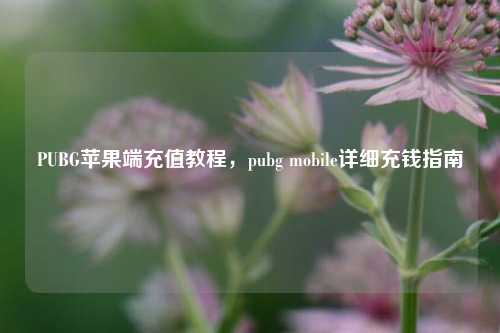 PUBG苹果端充值教程，pubg mobile详细充钱指南