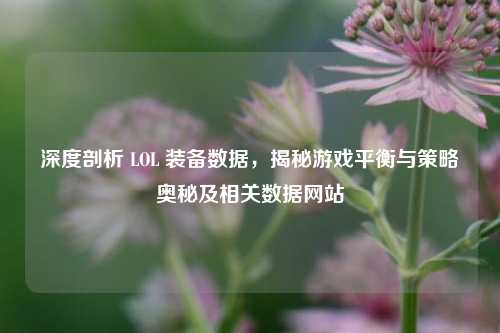 深度剖析 LOL 装备数据，揭秘游戏平衡与策略奥秘及相关数据网站