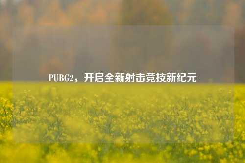 PUBG2，开启全新射击竞技新纪元