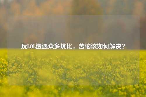 玩LOL遭遇众多坑比，苦恼该如何解决？