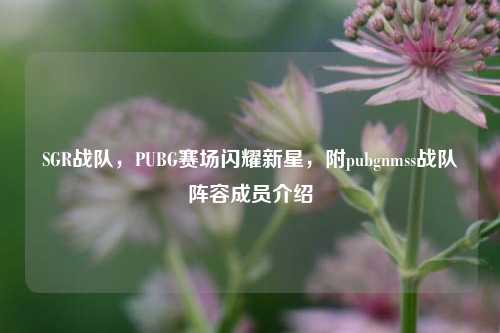 SGR战队，PUBG赛场闪耀新星，附pubgnmss战队阵容成员介绍