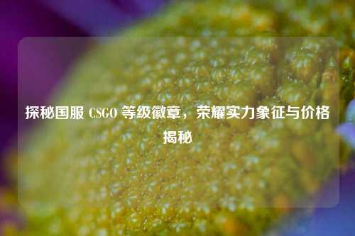 探秘国服 CSGO 等级徽章，荣耀实力象征与价格揭秘