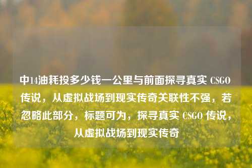 中14油耗投多少钱一公里与前面探寻真实 CSGO 传说，从虚拟战场到现实传奇关联性不强，若忽略此部分，标题可为，探寻真实 CSGO 传说，从虚拟战场到现实传奇