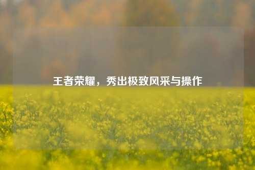 王者荣耀，秀出极致风采与操作