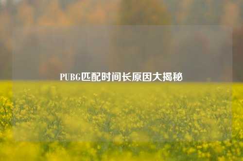 PUBG匹配时间长原因大揭秘