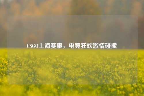 CSGO上海赛事，电竞狂欢激情碰撞