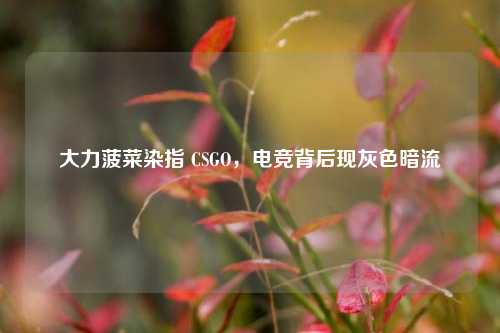大力菠菜染指 CSGO，电竞背后现灰色暗流