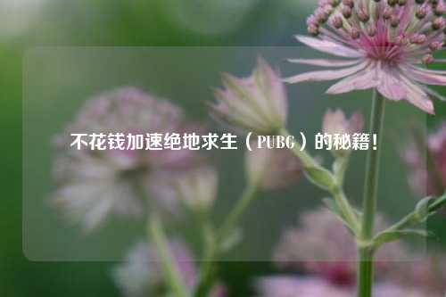 不花钱加速绝地求生（PUBG）的秘籍！