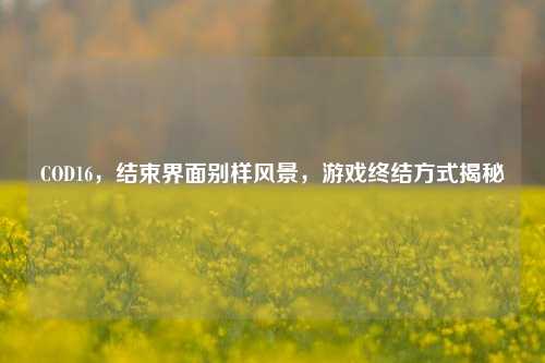 COD16，结束界面别样风景，游戏终结方式揭秘