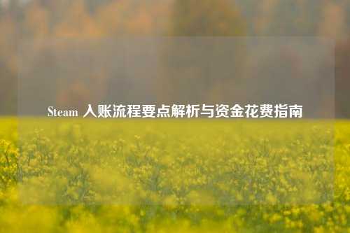 Steam 入账流程要点解析与资金花费指南
