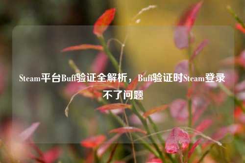 Steam平台Buff验证全解析，Buff验证时Steam登录不了问题