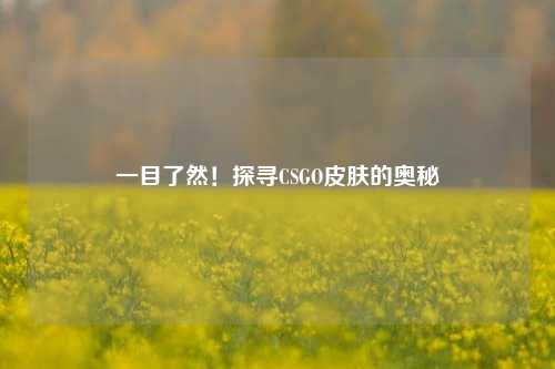 一目了然！探寻CSGO皮肤的奥秘