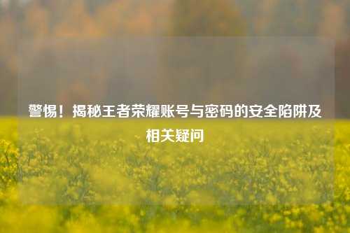 警惕！揭秘王者荣耀账号与密码的安全陷阱及相关疑问