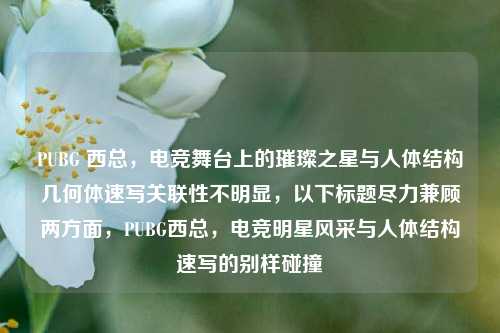 PUBG 西总，电竞舞台上的璀璨之星与人体结构几何体速写关联性不明显，以下标题尽力兼顾两方面，PUBG西总，电竞明星风采与人体结构速写的别样碰撞