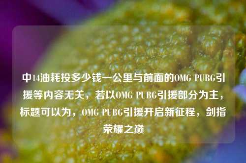 中14油耗投多少钱一公里与前面的OMG PUBG引援等内容无关，若以OMG PUBG引援部分为主，标题可以为，OMG PUBG引援开启新征程，剑指荣耀之巅