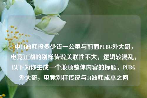 中14油耗投多少钱一公里与前面PUBG外大哥，电竞江湖的别样传说关联性不大，逻辑较混乱，以下为你生成一个兼顾整体内容的标题，PUBG外大哥，电竞别样传说与14油耗成本之问
