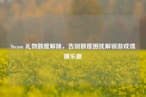 Steam 礼物额度解除，告别额度困扰解锁游戏馈赠乐趣