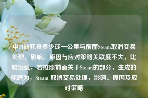 中14油耗投多少钱一公里与前面Steam取消交易处理，影响、原因与应对策略关联度不大，比较混乱，若按照前面关于Steam的部分，生成的标题为，Steam 取消交易处理，影响、原因及应对策略