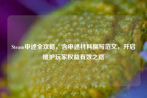 Steam申述全攻略，含申述材料撰写范文，开启维护玩家权益有效之路