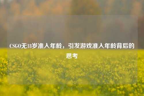 CSGO无18岁准入年龄,引发游戏准入年龄背后的思考
