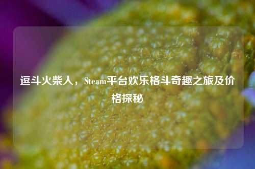 逗斗火柴人，Steam平台欢乐格斗奇趣之旅及价格探秘