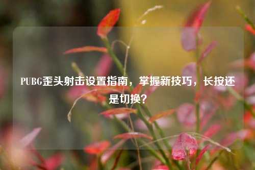 PUBG歪头射击设置指南，掌握新技巧，长按还是切换？