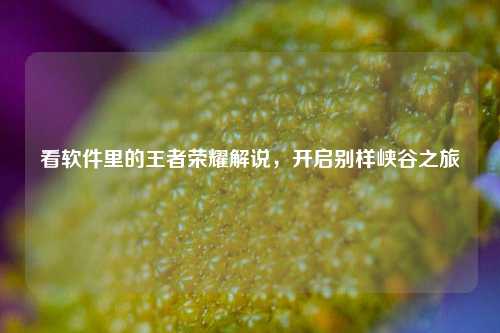 看软件里的王者荣耀解说，开启别样峡谷之旅
