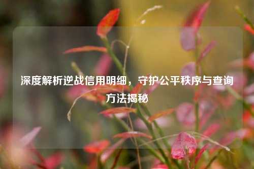 深度解析逆战信用明细，守护公平秩序与查询方法揭秘