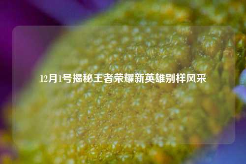 12月1号揭秘王者荣耀新英雄别样风采