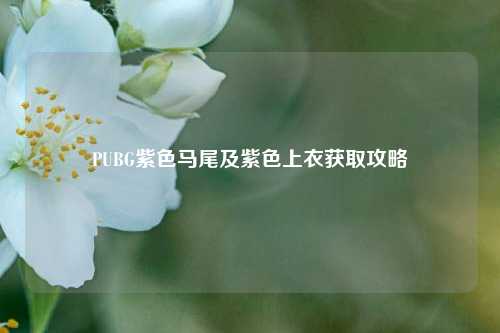 PUBG紫色马尾及紫色上衣获取攻略