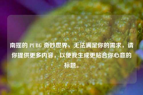 南摇的 PUBG 奇妙世界，无法满足你的需求，请你提供更多内容，以便我生成更贴合你心意的标题。