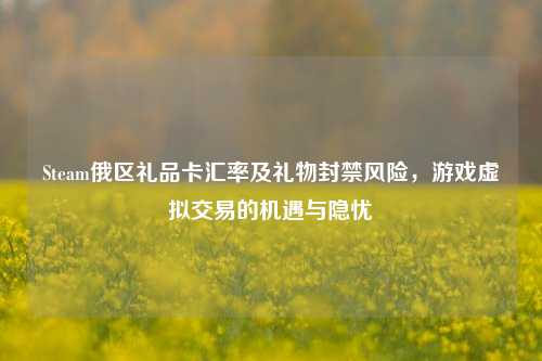 Steam俄区礼品卡汇率及礼物封禁风险，游戏虚拟交易的机遇与隐忧