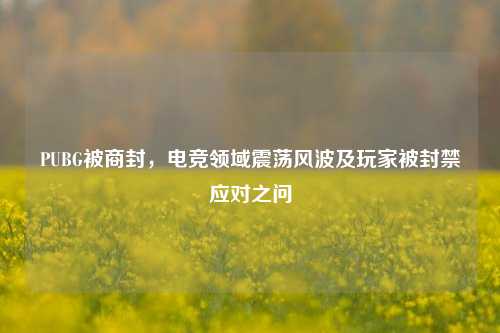 PUBG被商封，电竞领域震荡风波及玩家被封禁应对之问