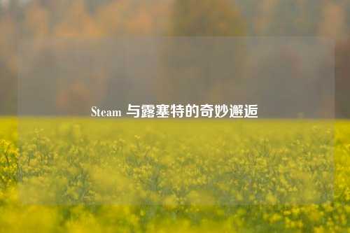 Steam 与露塞特的奇妙邂逅
