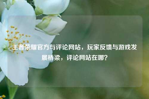 王者荣耀官方与评论网站，玩家反馈与游戏发展桥梁，评论网站在哪？