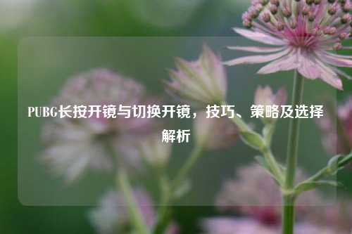 PUBG长按开镜与切换开镜，技巧、策略及选择解析